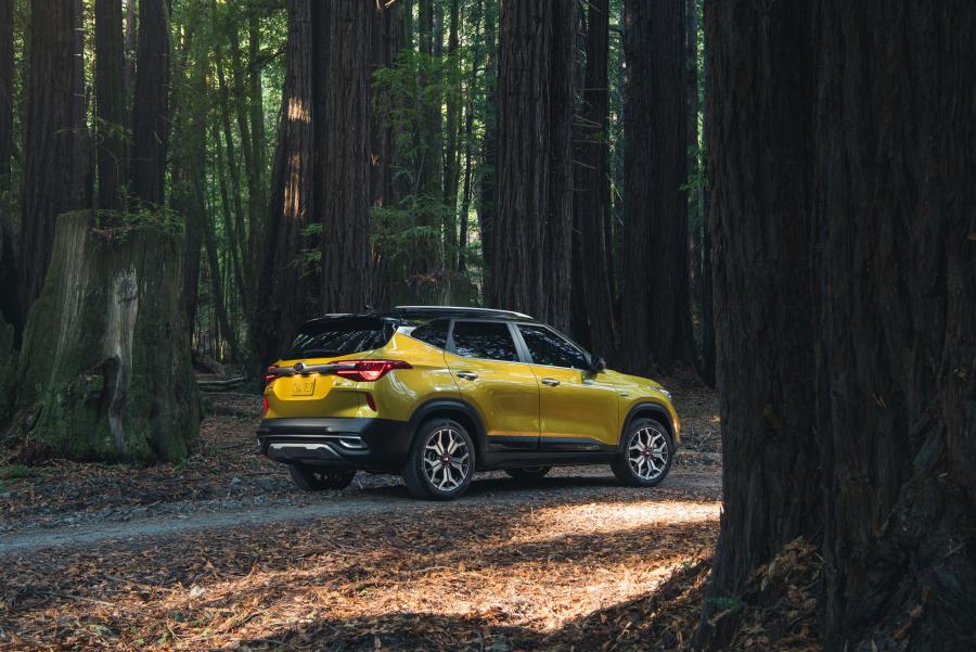  Kia Seltos 2020 года  (NA) (фото 21 из 45)